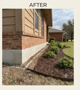 Termite control las colinas